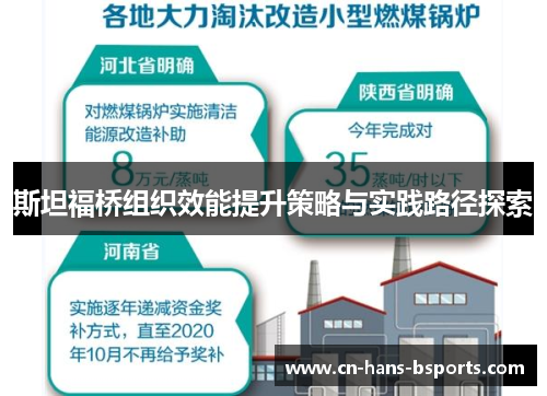 斯坦福桥组织效能提升策略与实践路径探索 斯坦福桥组织效能提升策略与实践路径探索